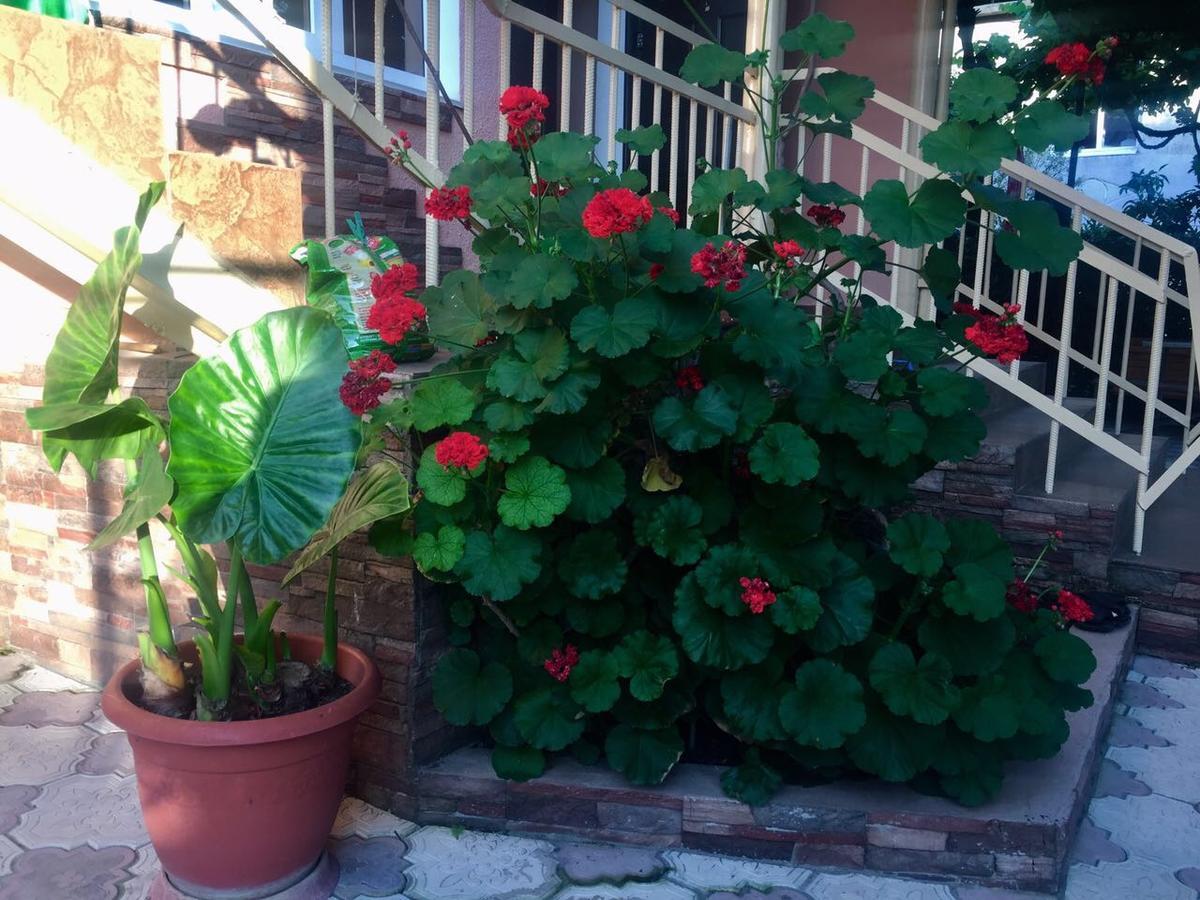 غاغرا Guest House Lykhny المظهر الخارجي الصورة
