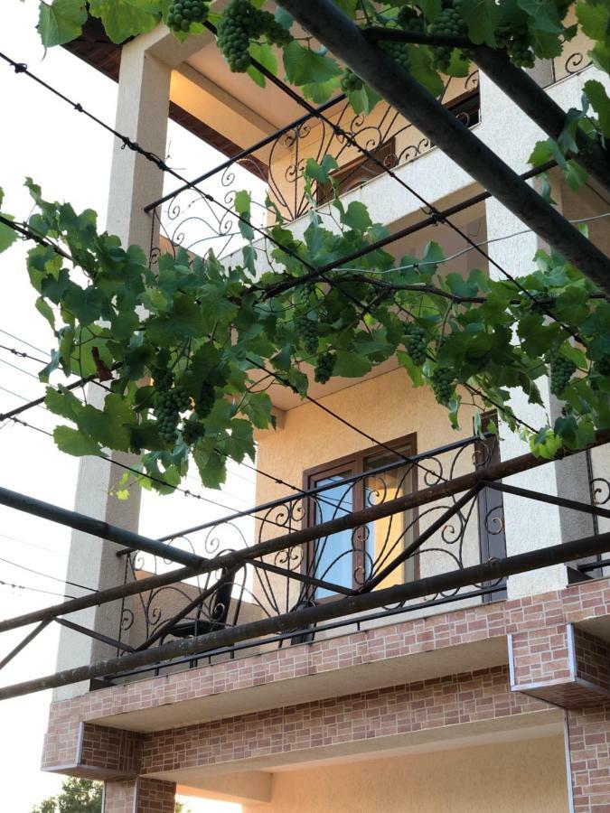 غاغرا Guest House Lykhny المظهر الخارجي الصورة